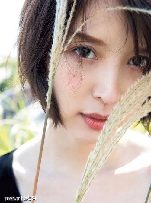 安以甜陆北宸免费阅读正版